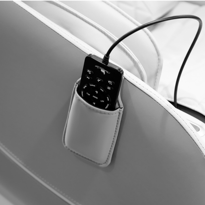 Range-télécommande du fauteuil massant MSW-310 Pro
