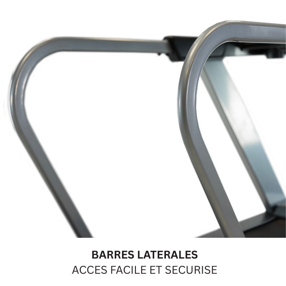 les barres latérales de sécurité du tapis de course G6515H de BH Fitness